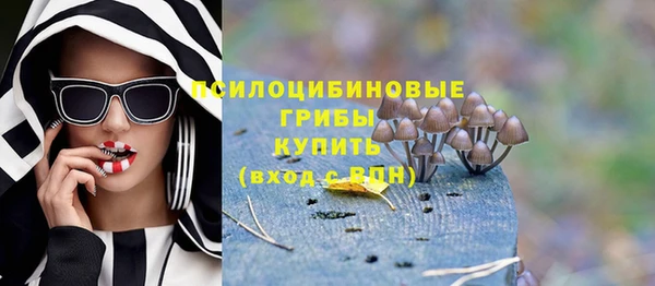 apvp Богородск