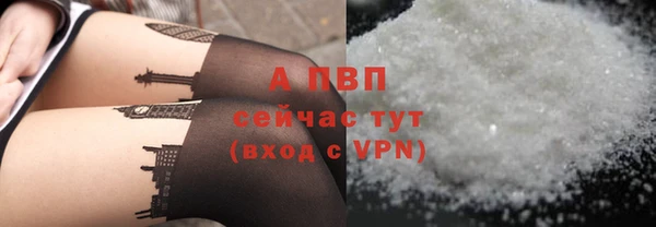 мяу мяу кристалл Богданович