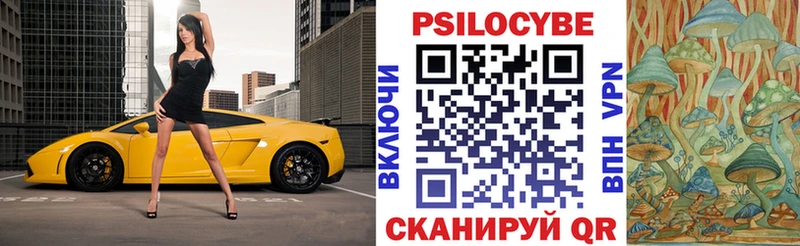 Галлюциногенные грибы Psilocybe  Онега 